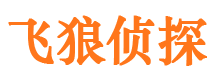 鹤壁市侦探调查公司